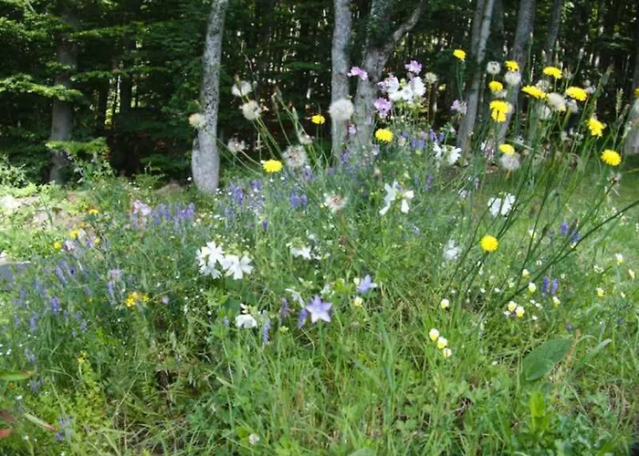 Kraftquelle Waldhaeuser Otel 3*